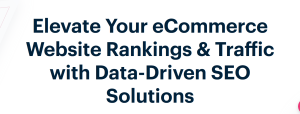 Data-Driven Seo Solutions