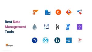 Data Organization Software
